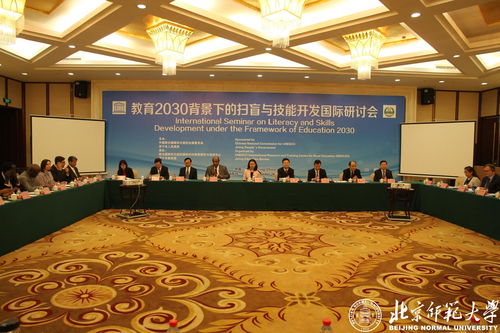 教育2030背景下的扫盲与技能开发国际研讨会 技术开发的创新路径
